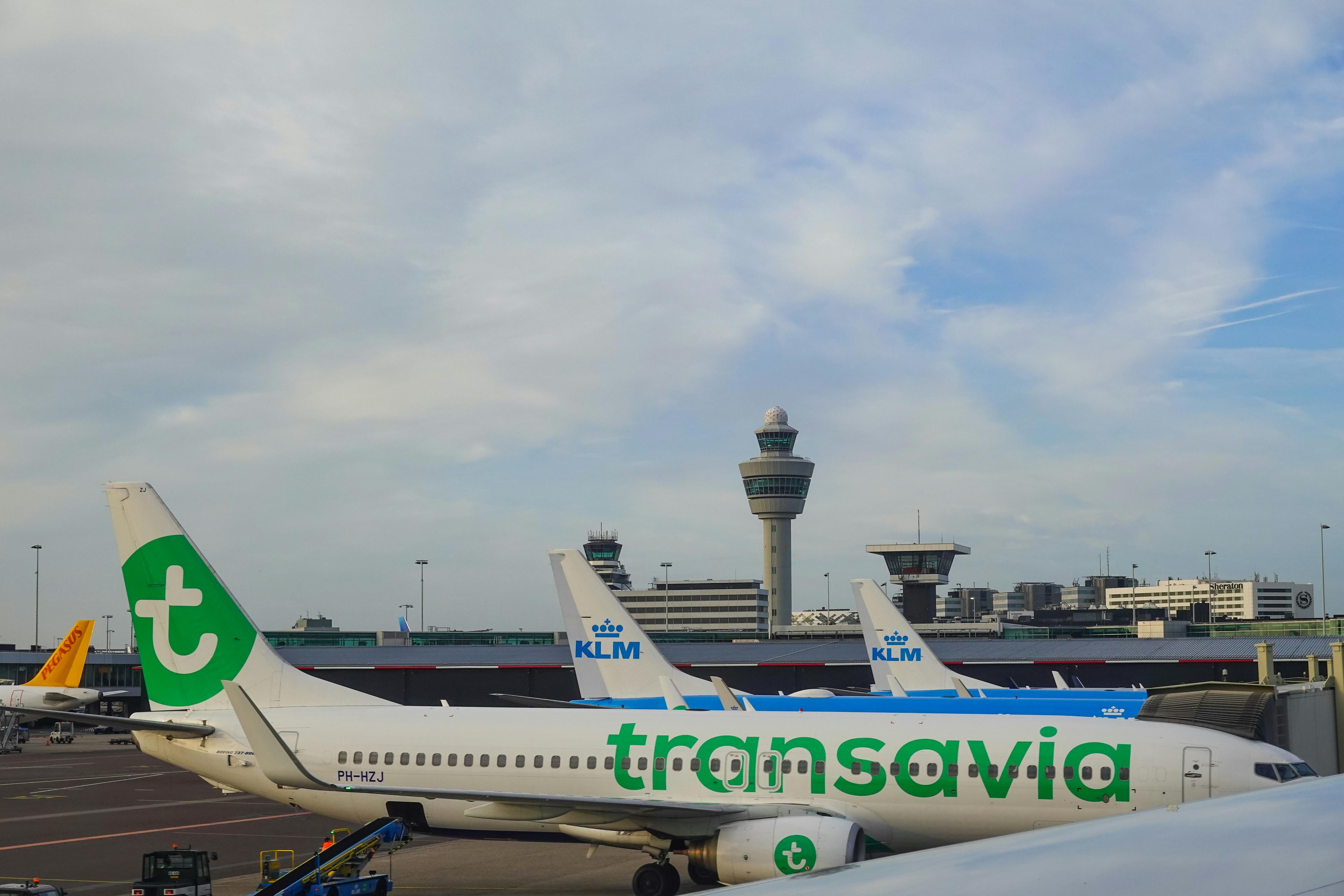 transaviaeham
